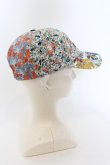 画像4: Vivienne Westwood / liberty　CAP  マルチ  O-24-07-14-042-ha-YM-OS (4)