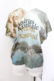 画像3: Vivienne Westwood / バウチャーバックステージSS17Tシャツ UNISEX マルチ  O-24-09-22-021-ts-IG-OS (3)